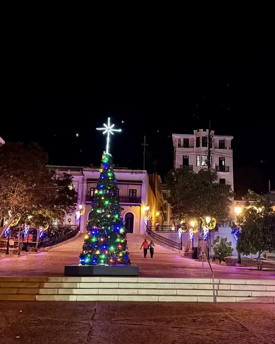 Puerto Rico Christmas Tour, Christmas tree and holiday lights on a town plaza at night