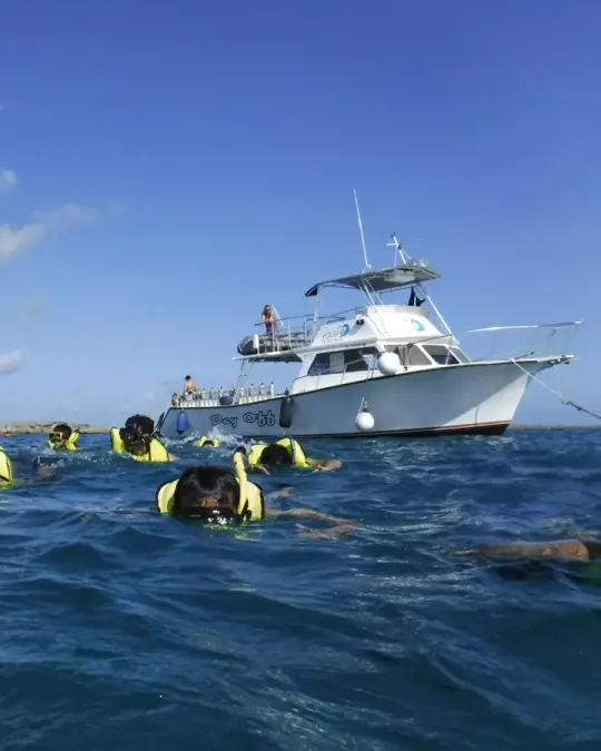 Culebra Snorkel & Flamenco Beach Day Trip tour, Puerto Rico