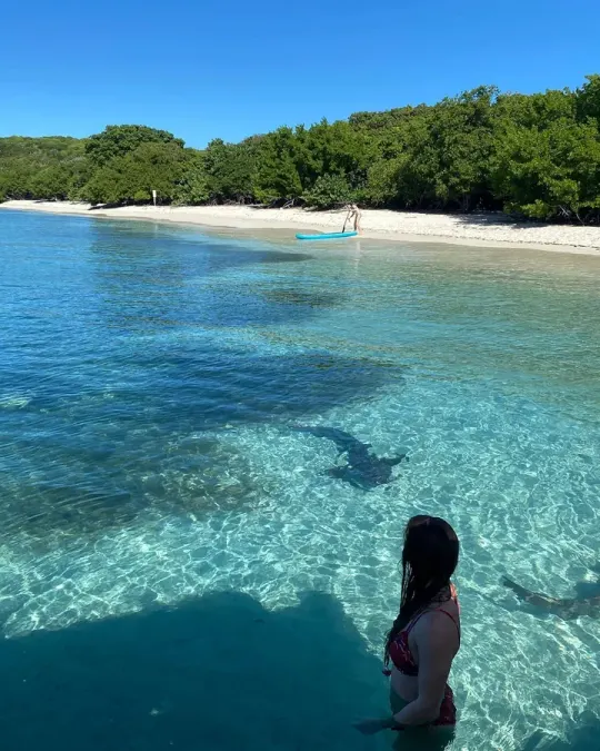 Culebra Day Trip: Flamenco + Culebrita tour, Puerto Rico