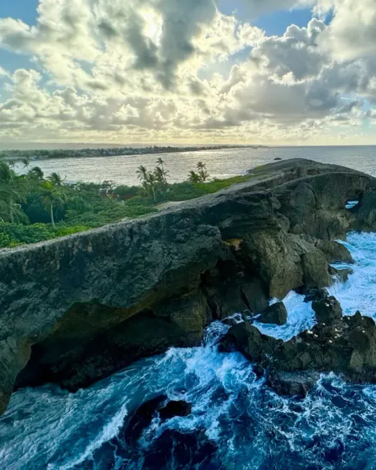 Discover Arecibo tour, Puerto Rico