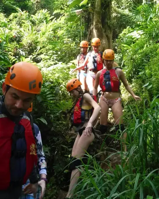 Compare El Yunque tours