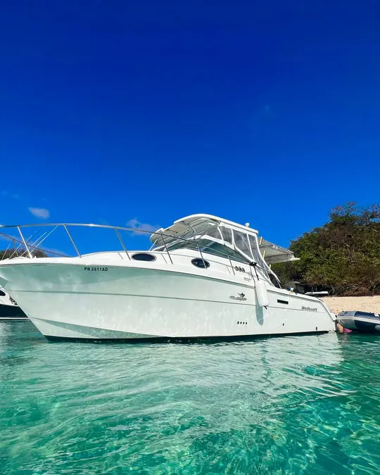 Private Boat Charter quote on WhatsApp