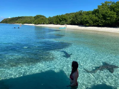 Culebra day trip to Flamenco Beach and Culebrita Island, Puerto Rico
