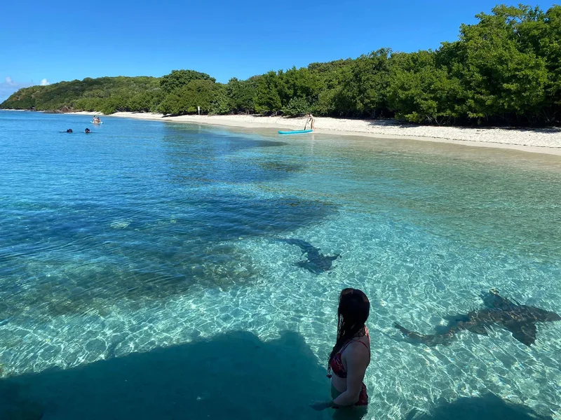 Turquoise shallows and white sand at Playa Tortuga on Isla Culebrita, Puerto Rico