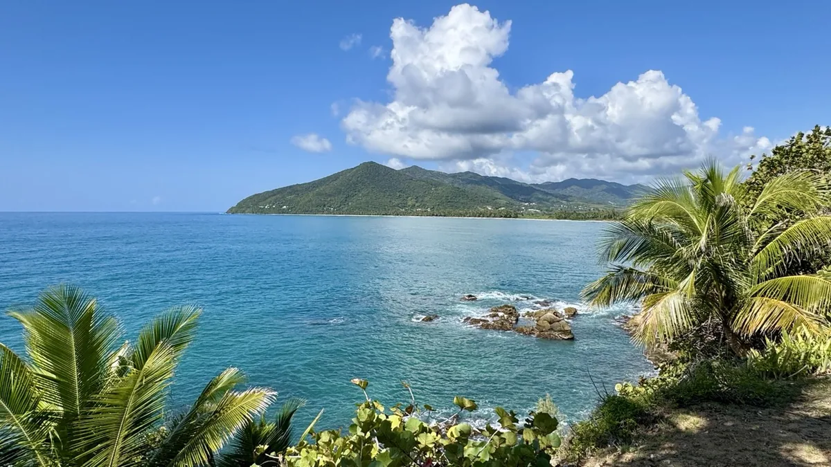 Turquoise bay and palm-lined coast on Puerto Rico southeast shore