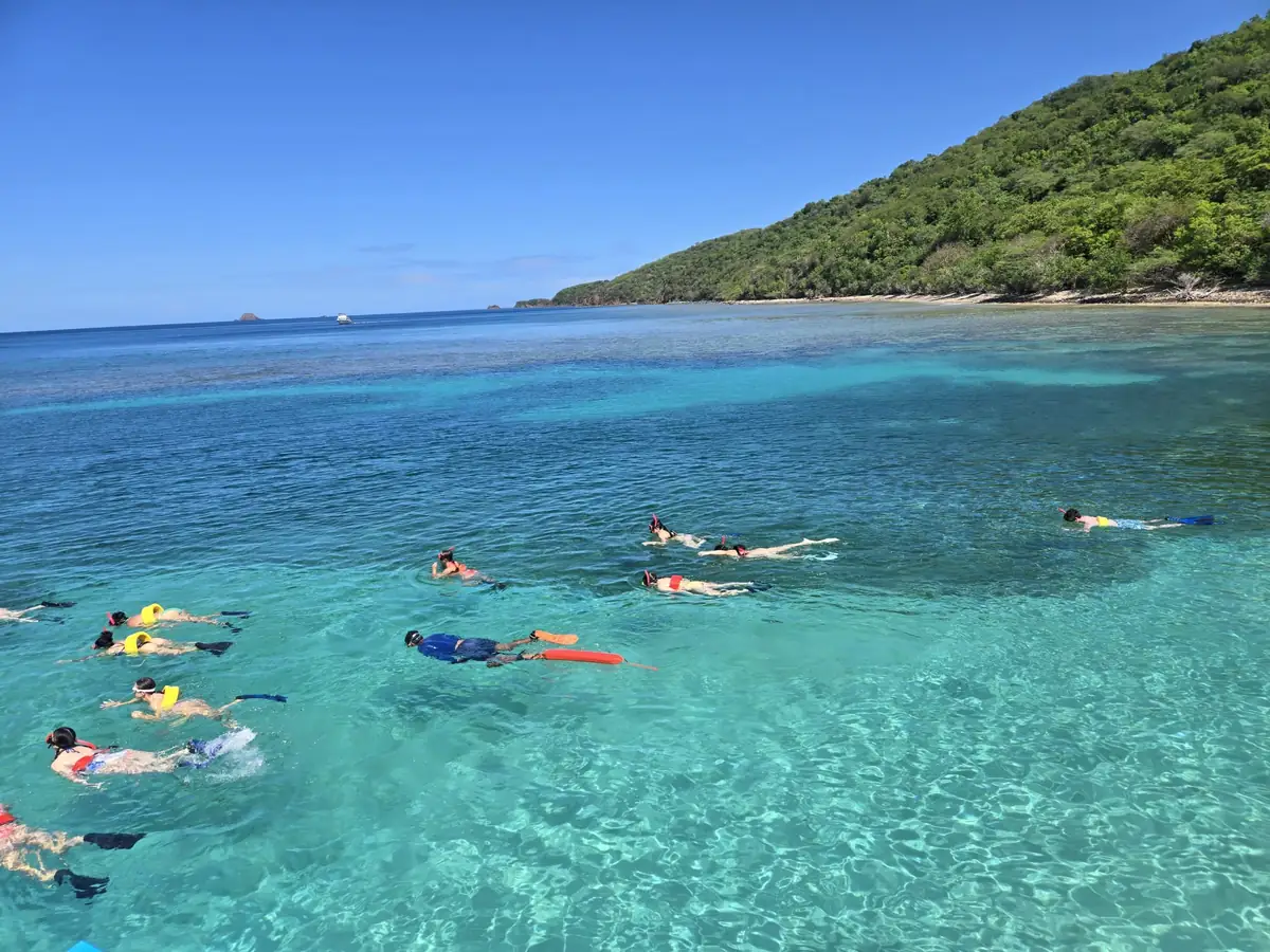 Group of snorkelers in clear turquoise water near shore on a guided snorkel tour, Puerto Rico