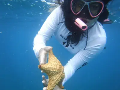 Snorkeling the reef at Cayo Icacos on a boat tour from Fajardo, Puerto Rico
