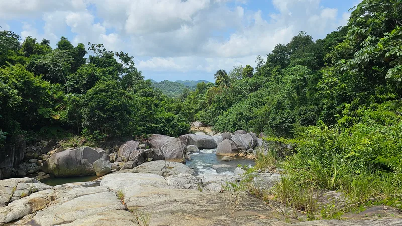 Wide river basin with boulders and rainforest on the south side of El Yunque, Puerto Rico