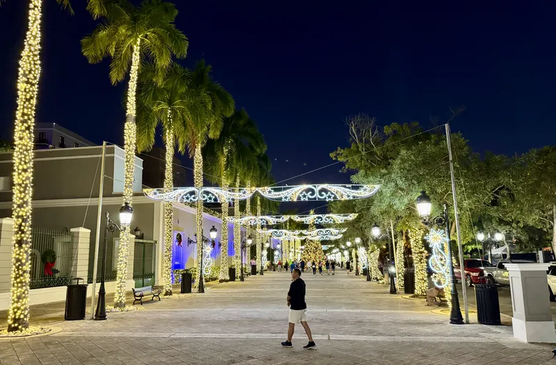 Palm trees wrapped in white lights under arches of Christmas lights on a Puerto Rico promenade at night