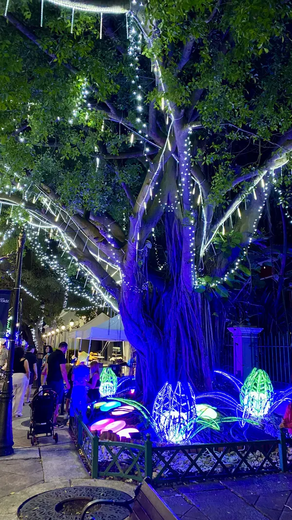 Tree strung with Christmas lights above glowing flower sculptures in a Puerto Rico holiday light garden