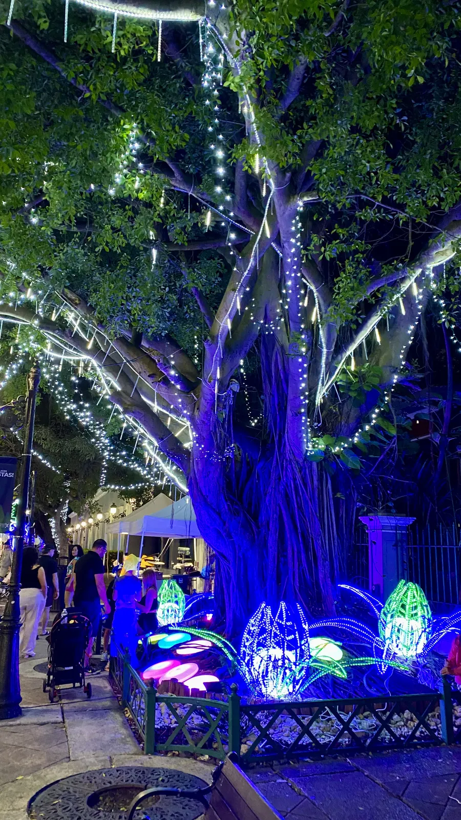 Tree strung with Christmas lights above glowing flower sculptures in a Puerto Rico holiday light garden