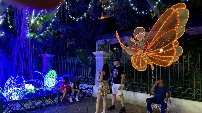 Glowing fairy and light-up flowers in a Christmas light display at night in Puerto Rico